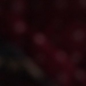 Meet your Posher, Ollie